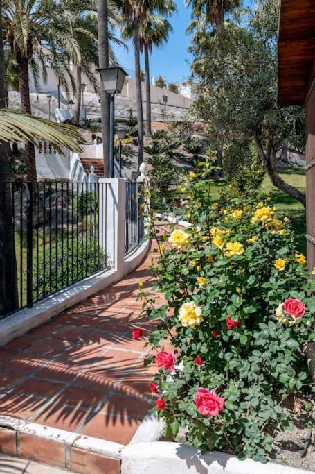 Apartmán Oasis 16 Nerja Exteriér fotografie
